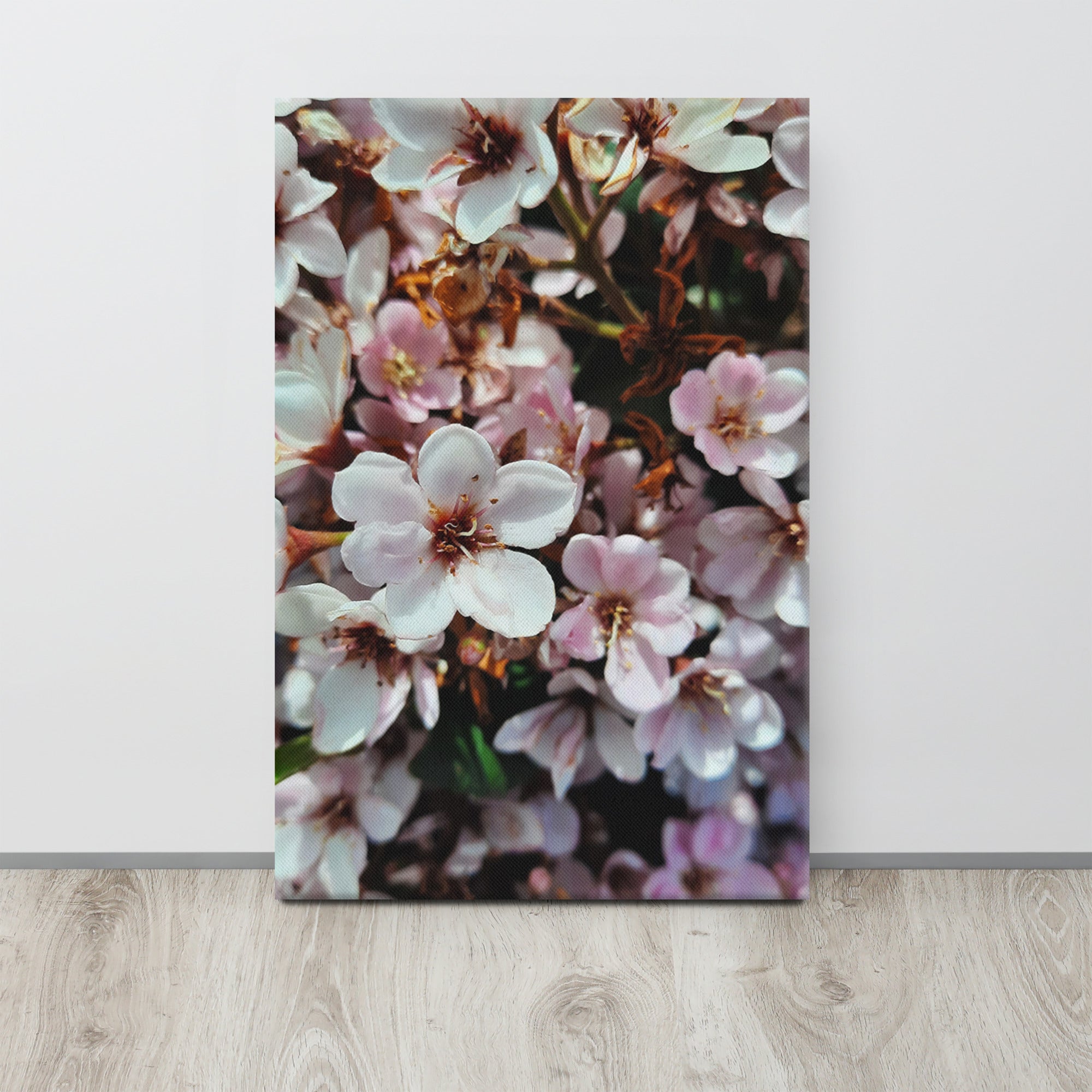Cherry Blossom | Canvas – Snapping Bipolar